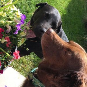 Meet your Posher, Gina